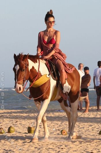 Alessandra ambrosio leaked private photo uncensored HD quality