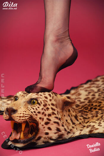 Dita von teese leaked private photo uncensored HD quality