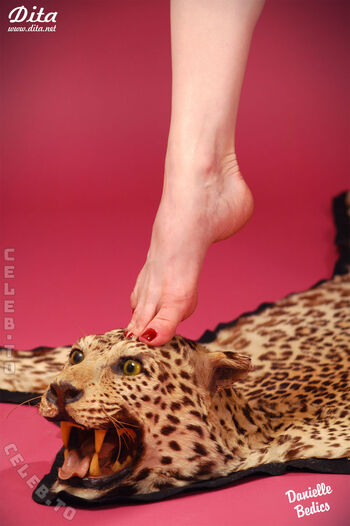 Dita von teese leaked private photo uncensored HD quality