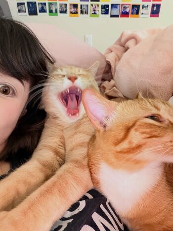 Emiru leaked private photo uncensored HD quality