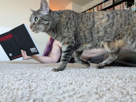 Kitty bit games page leaked private photo uncensored HD quality