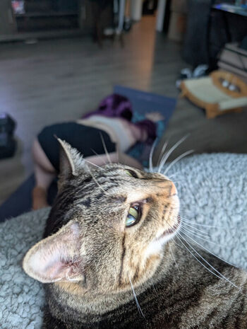 Kitty bit games page leaked private photo uncensored HD quality
