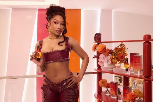 Megan thee stallion  page leaked private photo uncensored HD quality