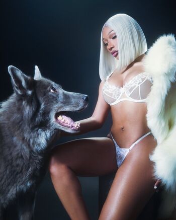 Megan thee stallion  page leaked private photo uncensored HD quality