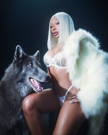 Megan thee stallion  page leaked private photo uncensored HD quality