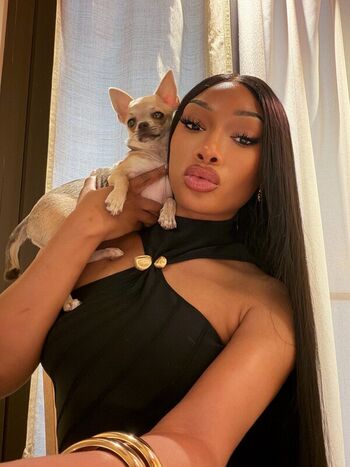 Megan thee stallion  page leaked private photo uncensored HD quality
