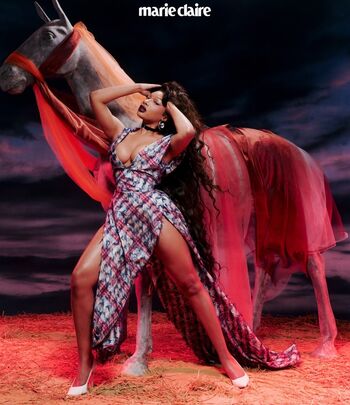Megan thee stallion  page leaked private photo uncensored HD quality