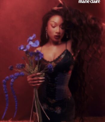 Megan thee stallion  page leaked private photo uncensored HD quality
