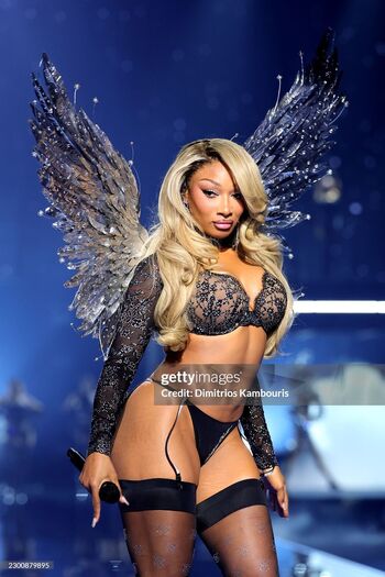 Megan thee stallion  page leaked private photo uncensored HD quality