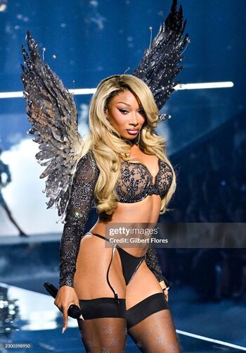 Megan thee stallion  page leaked private photo uncensored HD quality