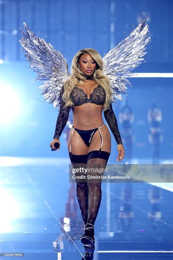 Megan thee stallion  page leaked private photo uncensored HD quality