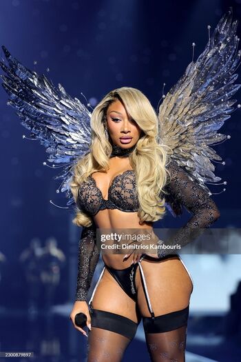 Megan thee stallion  page leaked private photo uncensored HD quality