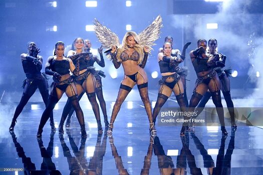Megan thee stallion  page leaked private photo uncensored HD quality