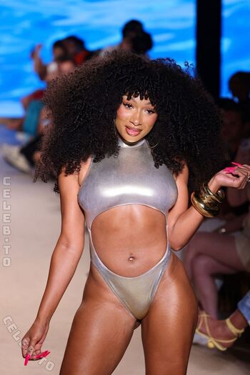 Megan thee stallion  page leaked private photo uncensored HD quality