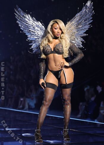 Megan thee stallion  page leaked private photo uncensored HD quality