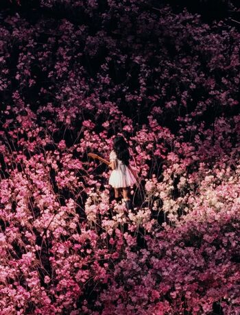 Olivia rodrigo leaked private photo uncensored HD quality