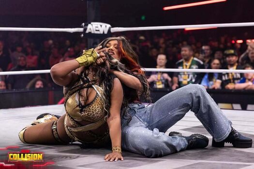 Sasha banks page leaked private photo uncensored HD quality