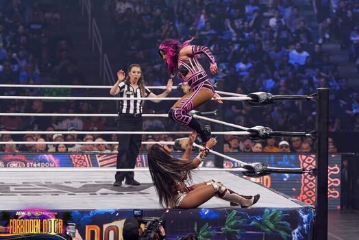 Sasha banks page leaked private photo uncensored HD quality
