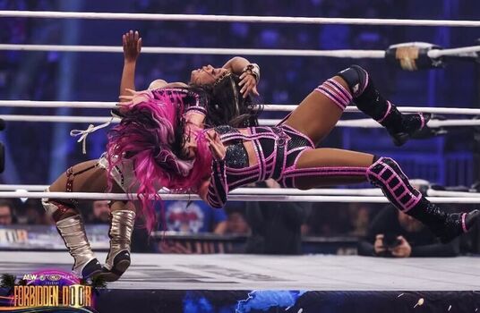 Sasha banks page leaked private photo uncensored HD quality