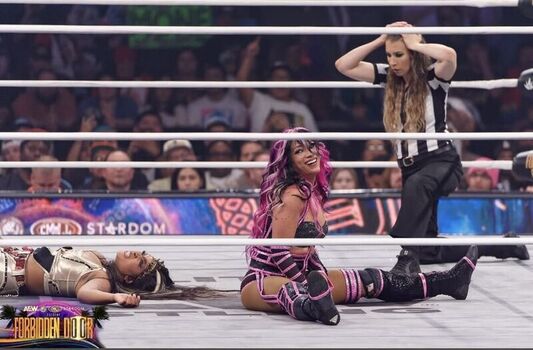 Sasha banks page leaked private photo uncensored HD quality