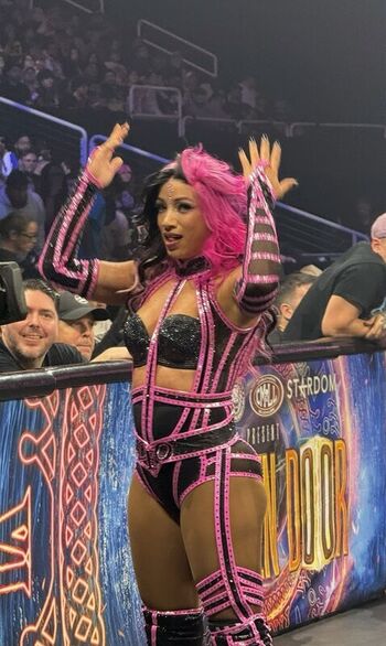 Sasha banks page leaked private photo uncensored HD quality