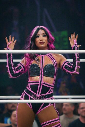 Sasha banks page leaked private photo uncensored HD quality