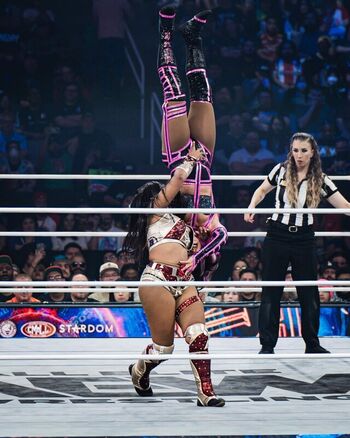 Sasha banks page leaked private photo uncensored HD quality