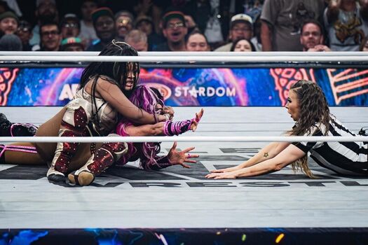 Sasha banks page leaked private photo uncensored HD quality