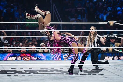 Sasha banks page leaked private photo uncensored HD quality