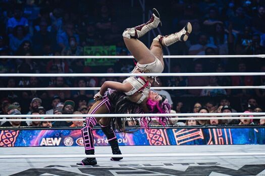 Sasha banks page leaked private photo uncensored HD quality